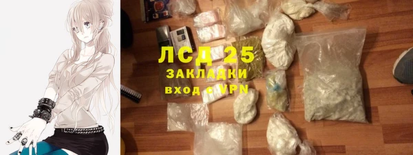 спиды Аркадак