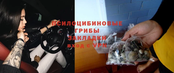 спиды Аркадак