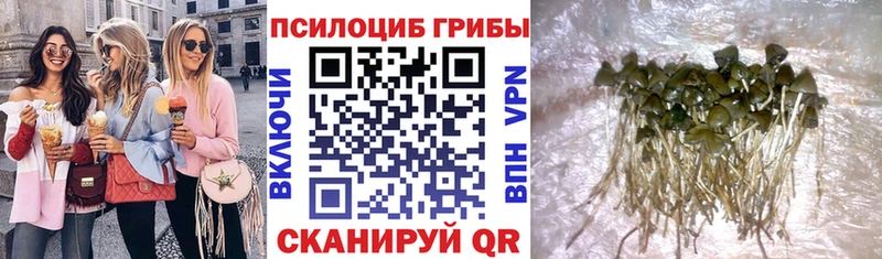 Галлюциногенные грибы мухоморы Ржев